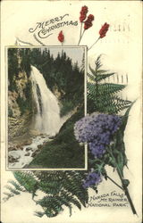 Narada Falls, Mt. Rainier National Park Postcard