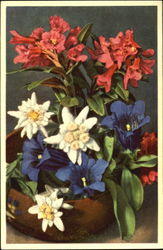 Rhododendron Ferrugincum Postcard