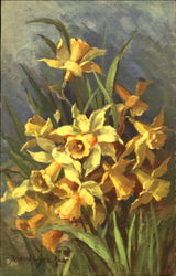 Jonquilles Flowers Postcard Postcard