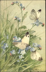 White Butterflies Flowers Postcard Postcard