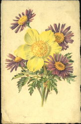 Alpine Aster Flowers Postcard Postcard