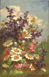 Fleurs Des Champs Feldblumen Postcard