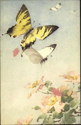 Butterflies C. Klein Postcard Postcard