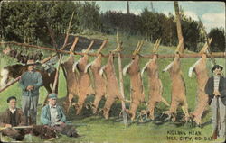 Killing Near Hill City South Dakota Postcard Postcard