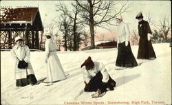 Canadian Winter Sports, High Park Toronto, ON Ontario Postcard Postcard