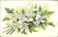 Narcissus bunch Postcard