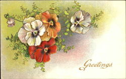 Greetings Postcard