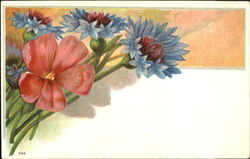 Blue and Pink Floral Display Postcard