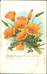 California Poppies Flowers Postcard Postcard