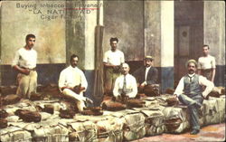 Buying Tobacco In Havana For La Natividad Cigar Factory Cuba Postcard Postcard