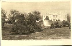 White House Postcard