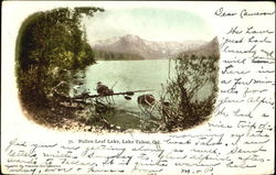 Fallen Leaf Lake Postcard