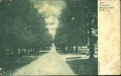 Cedar Ave Postcard