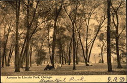 Autumn In Lincoln Park Postcard