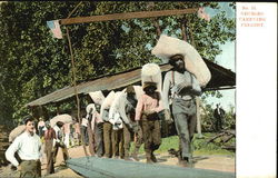 Negroes Carrying Freight Black Americana Postcard Postcard