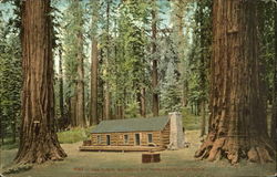 Log Cabin, Mariposa Big Tree Grove Postcard