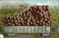 A Carload Of Grapes Exaggeration Postcard Postcard