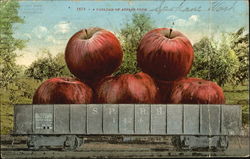 A Carload Of Apples Fruit Postcard Postcard