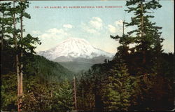 Mt. Rainier, Mt. Rainier National Park Postcard