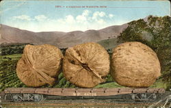 A Carload Of Walnuts Postcard Postcard