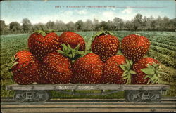 A Carload Of Strawberries Exaggeration Postcard Postcard