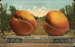 A Carload Of Peaches Fruit Postcard Postcard