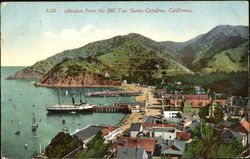 Avalon From The Hill Top Postcard