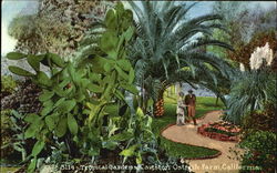 Tropical Gardens Cawston Ostrich Farm Postcard