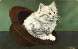 Kitten in a Hat Postcard