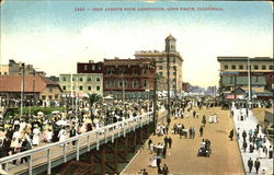 Pine Avenue From Auditorium Postcard