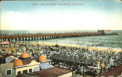 Pier And Beach Postcard