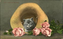 Kitty And The Roses Postcard