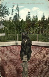 Bear Pit, Woodland Park Seattle, WA Postcard Postcard