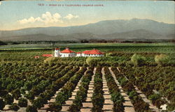 Home In A California Orange Grove Scenic, CA Postcard Postcard