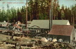 Lumber Camp And Sawmill Postcard