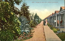 Street In Tent City Postcard