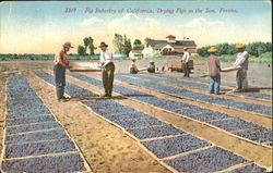 Fig Industry Of California Fresno, CA Postcard Postcard