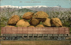 A Carload Of Almonds Exaggeration Postcard Postcard