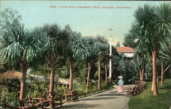 Palm Walk, Piedmont Park Oakland, CA Postcard Postcard