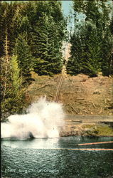 Log Chute Oregon Postcard Postcard