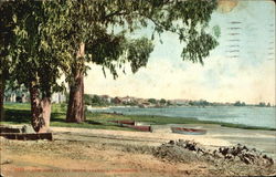 Low Tide At Bay Shore Postcard