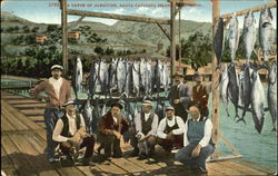 A Catch Of Albacore Postcard