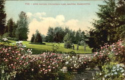 Rose Garden, Volunteer Park Postcard