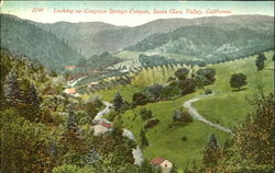 Looking Up Congress Springs Canyon Saratoga, CA Postcard Postcard