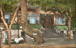 Entrance To Alpine Tavern Postcard