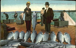 Salmon Catch Postcard