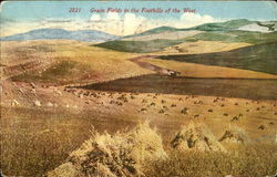 Grain Fields In The Foothills Of The West Postcard