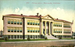 Primary School Postcard