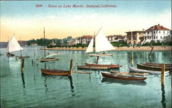 Scene On Lake Merritt Oakland, CA Postcard Postcard