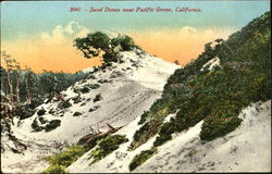 Sand Dunes Pacific Grove, CA Postcard Postcard